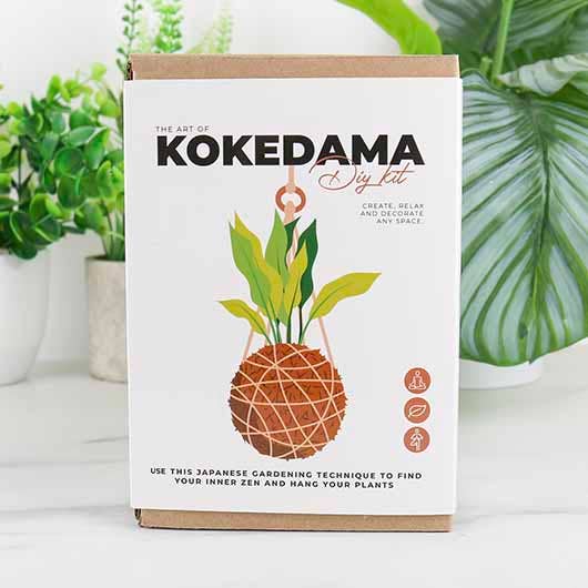 Art du Kokedama - Kit DIY