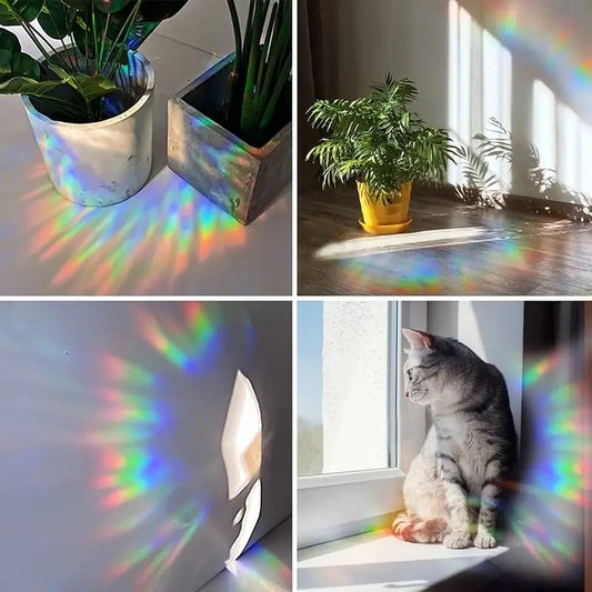 Rainbow Maker - Dinosaures