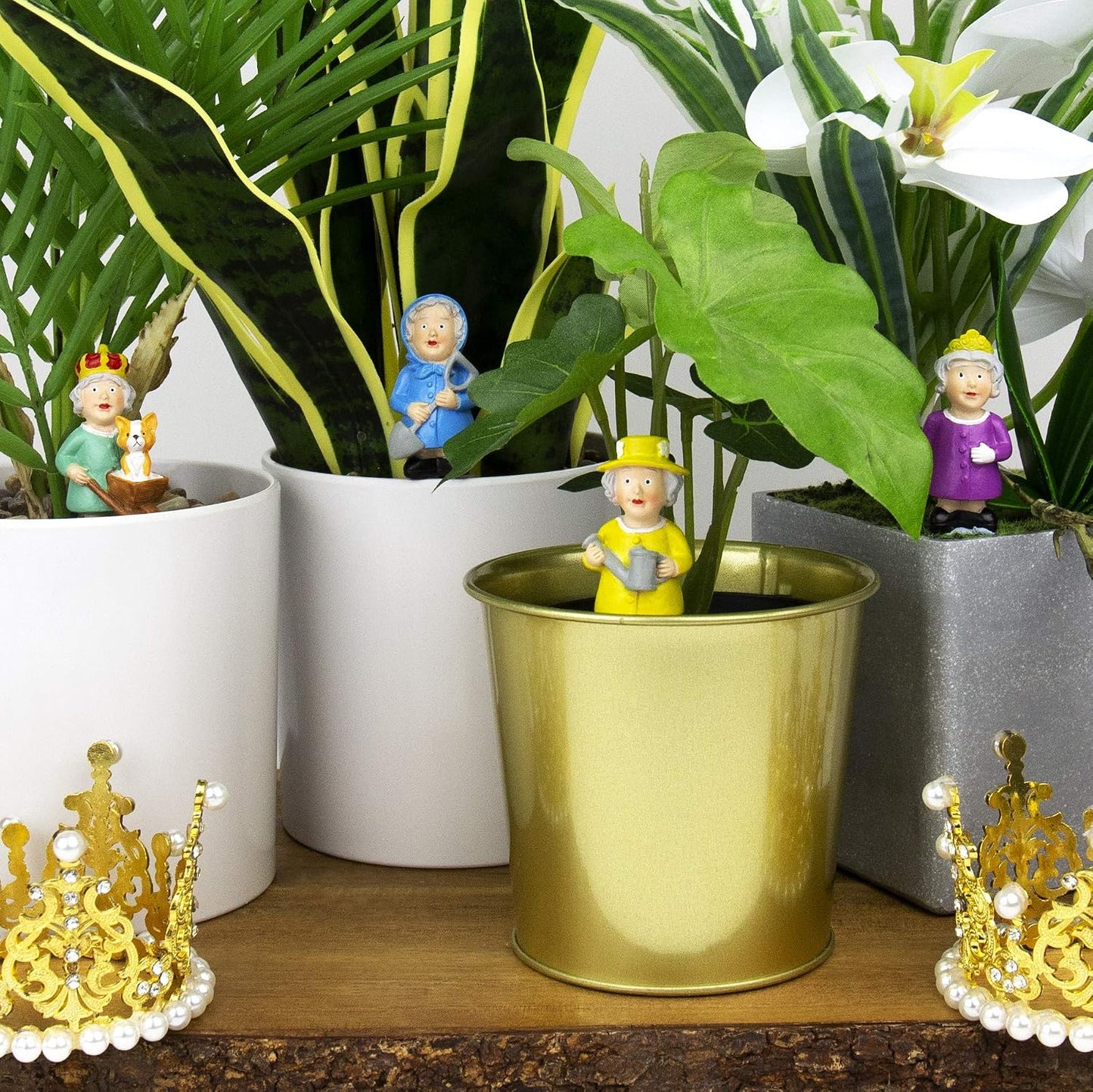 God save the queen - Décoration de plantes