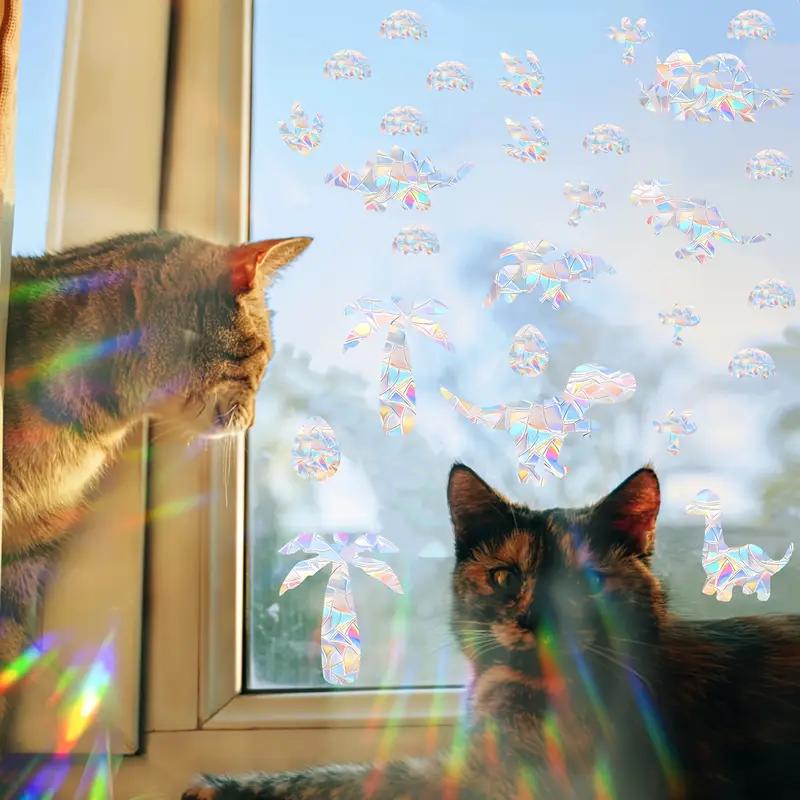 Rainbow maker / Attrape soleil