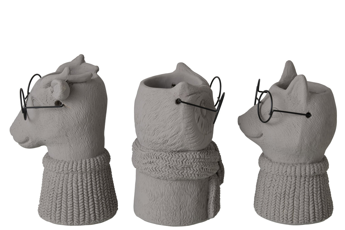 Cache-pot - Animaux à lunettes