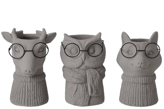 Cache-pot - Animaux à lunettes