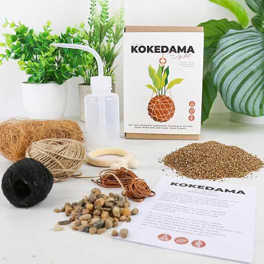 Art du Kokedama - Kit DIY