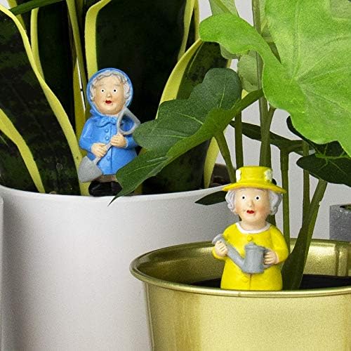 God save the queen - Décoration de plantes