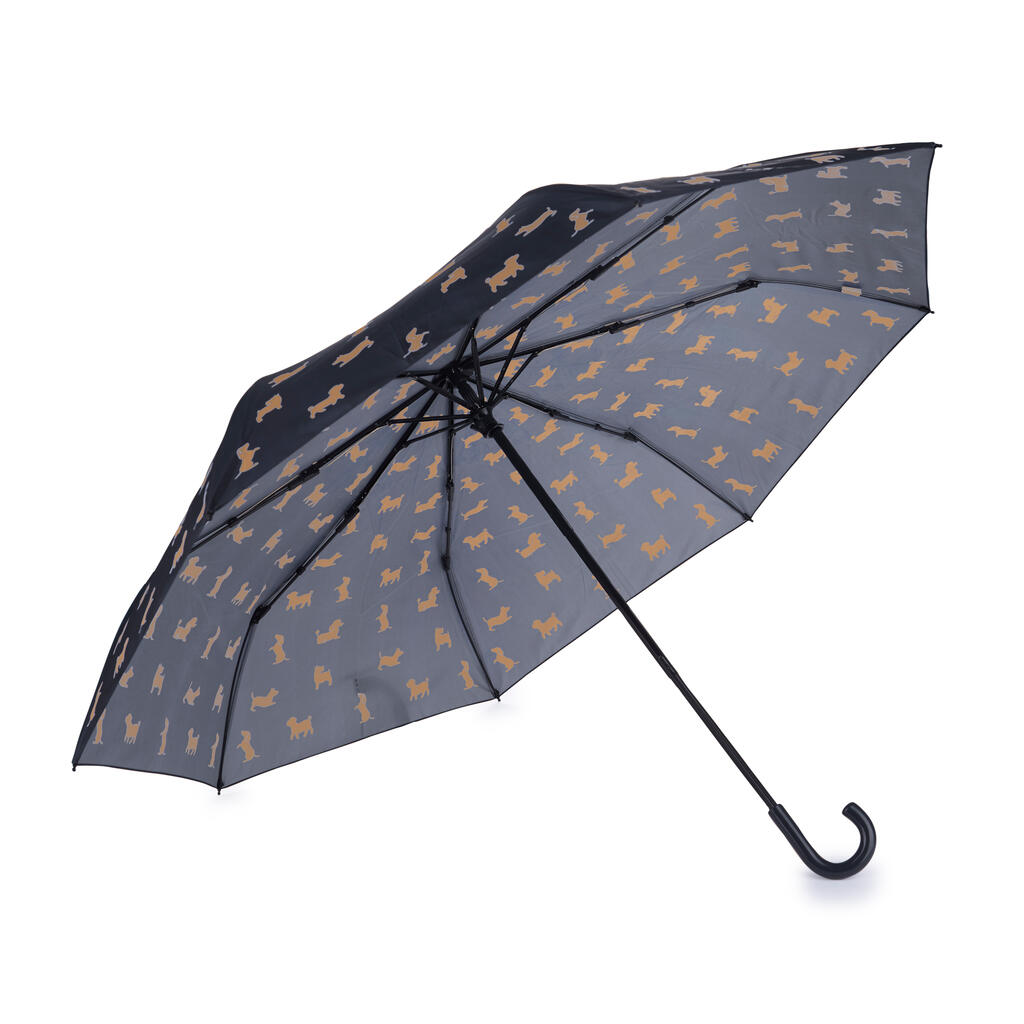 Parapluie Teckel